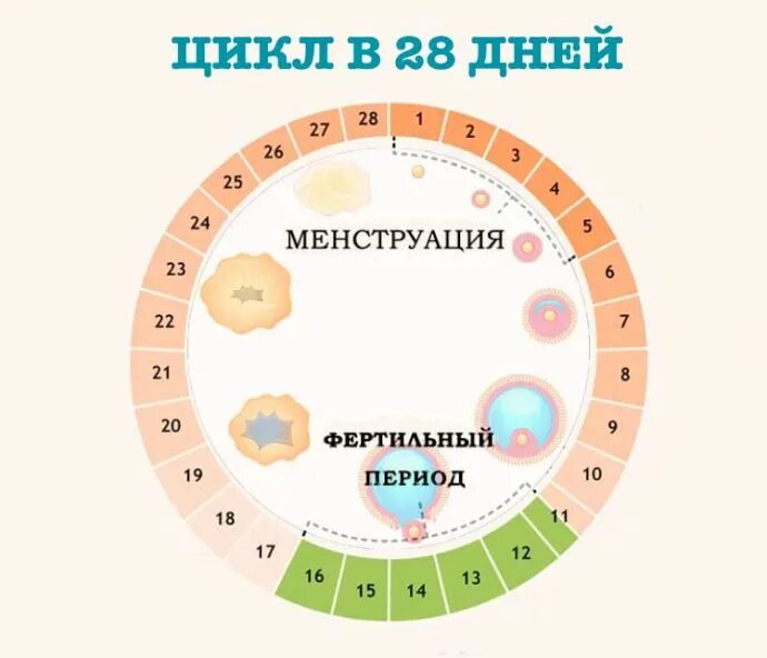 Слова после месячных