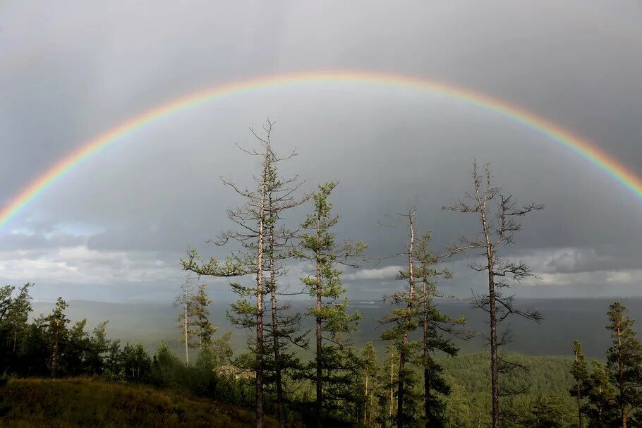 радуги дуги мая. радуги дуги мая. радуги дуги мая егорова текст. радуга дуга. радуга дуга картинки.