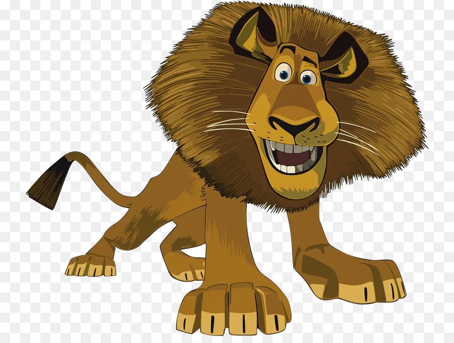 Лев alex. Лев алекс из мадагаскара. Лев алекс. Алех лев алекс мадагаскар. Лев alex.