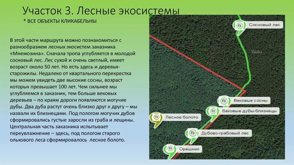 Каждый участок маршрута. Гомельский заповедник. Экологические маршруты в Германии. Экологический маршрут отец-лес. Экомаршрут Лесные дали.