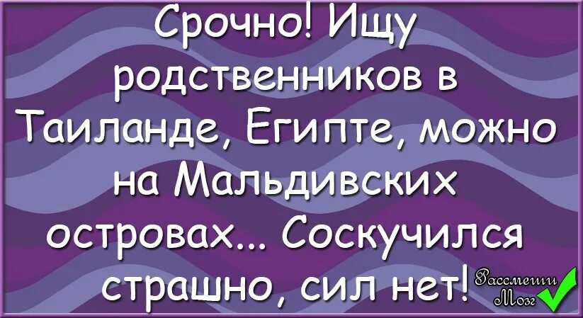 Найду родственников. Анекдот про родню. Анекдоты про родственников. Срочно ищу родственников в Тайланде. Родственники юмор.