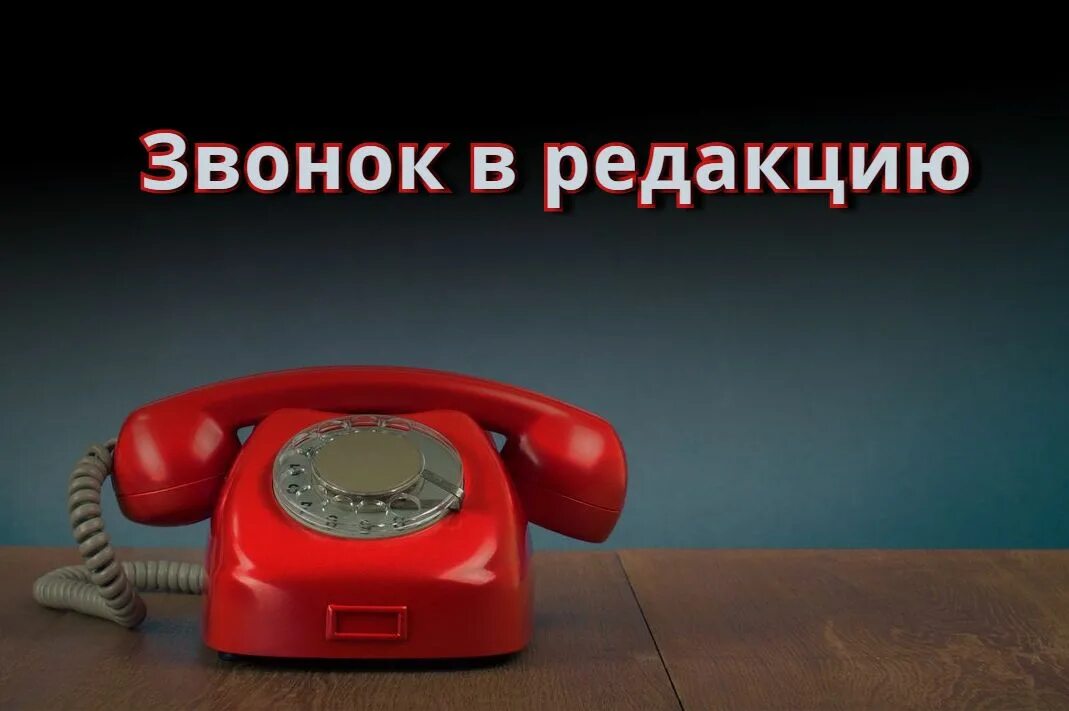 Телефонный звонок. Nlo позвони. Человек с домашним телефоном. Позвони мне позвони картинки. Человек с трубкой телефона.