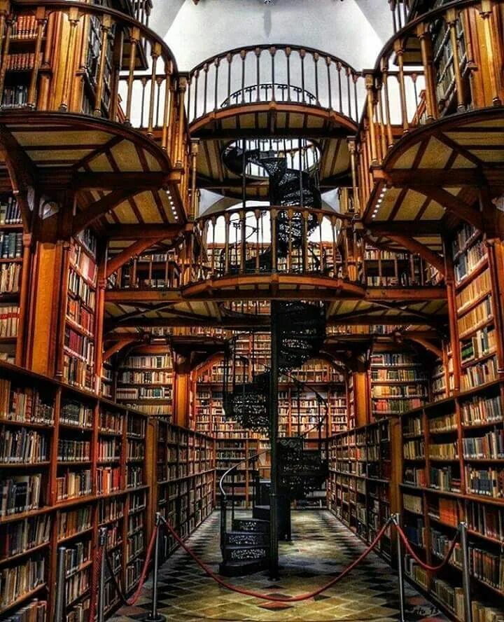 Легендарные библиотеки. Библиотека. Красивая библиотека. Старинная библиотека. Самые красивые библиотеки.