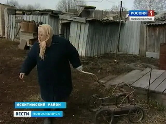 Погода сосновка искитимский. Погода сосновка искитимский. Бородавкино искитимский. Новосибирск деревня сосновка. Погода сосновка искитимский.