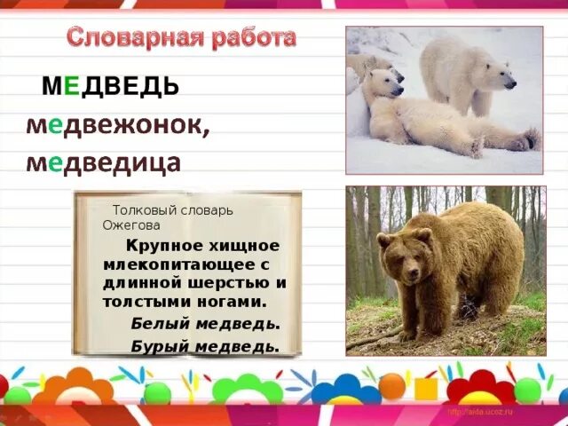 Значение слова медведь. Слово медведь. Словарное слово медведь. Медведь словарь. Медведь словарное слово 1 класс.