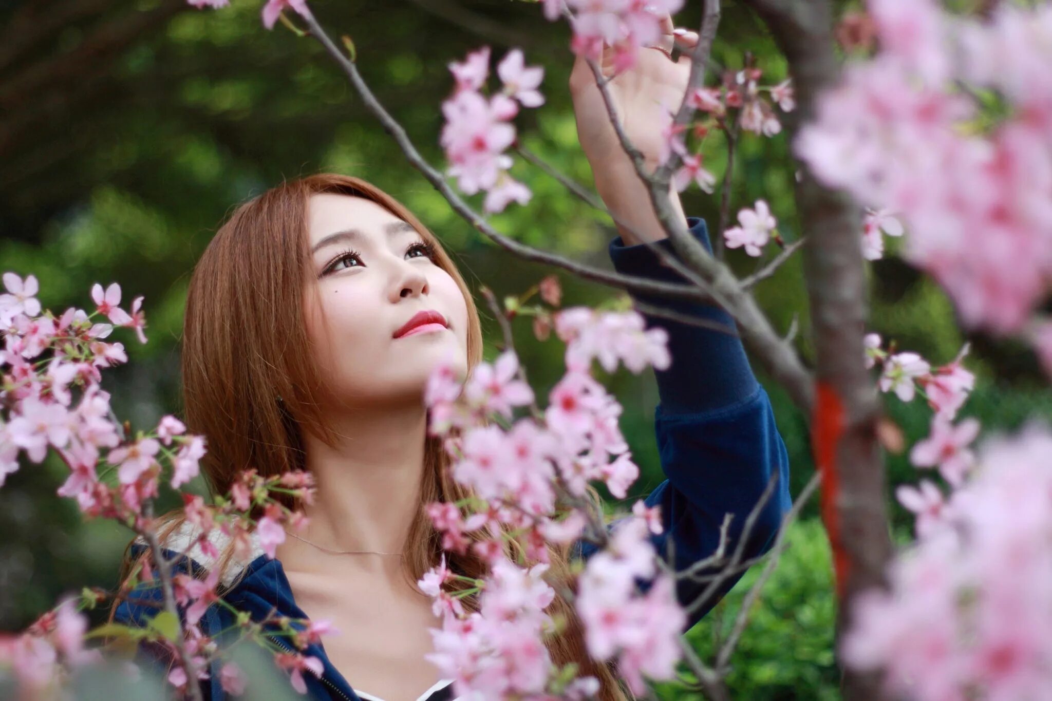 Девочка аниме весна сакура. Япония сакура гейша. Сакура айдол. Сакура герл. Аниме цветы.