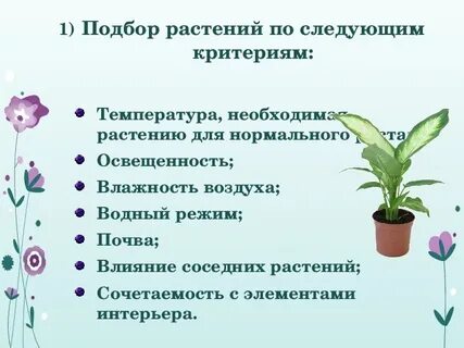 Комнатные растения технология