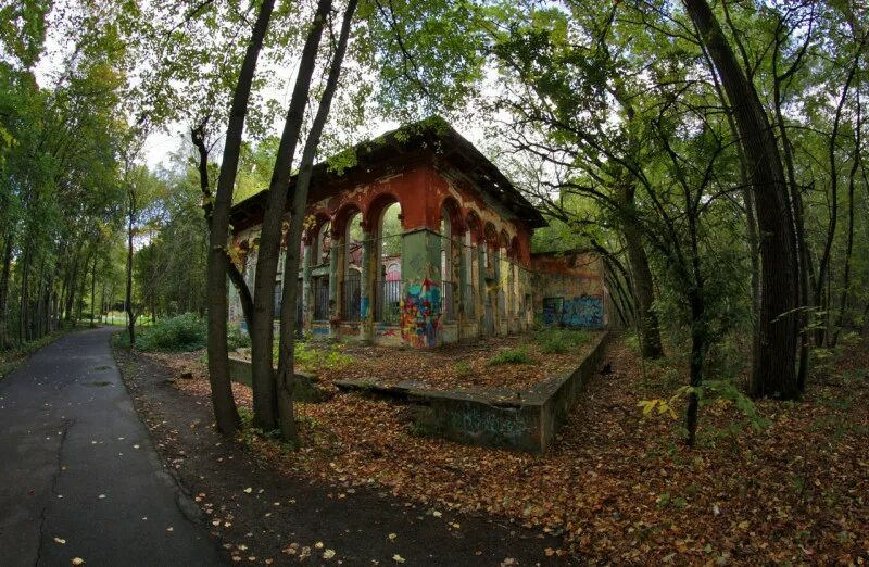 Кафе в измайловском парке. Заброшенный ресторан в измайловском парке. заброшенный ресторан в парке измайлово. ресторан лето в измайлово. заброшенное здание в измайловском парке.
