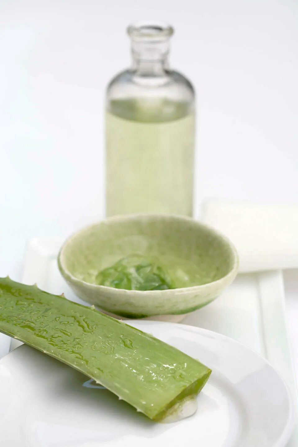 Как приготовить лекарство из алоэ. Aloe Vera. Сабур алоэ.