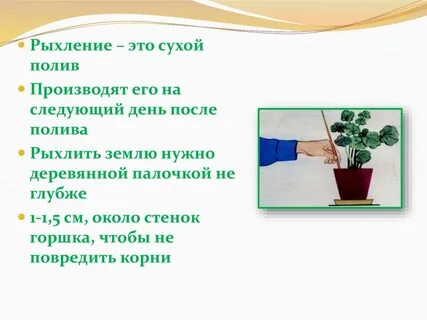 Правила рыхления почвы