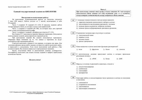 Виды тестов в егэ