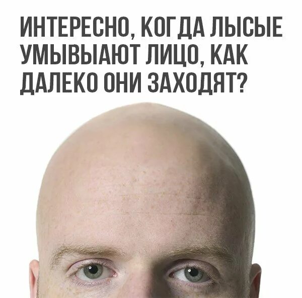 мемы с лысыми людьми. шутки про лысого человека. заходи лысый. остин пауэрс актеры. заходи лысый.