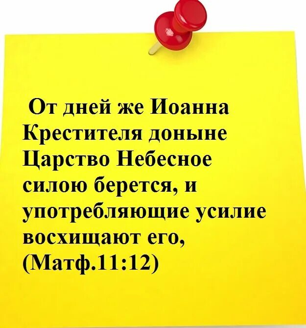 Царство силою берется. Царство небесное усилием берется. царство небесное силою берется и употребляющие усилие восхищают его. царство небесное силою берется книга.