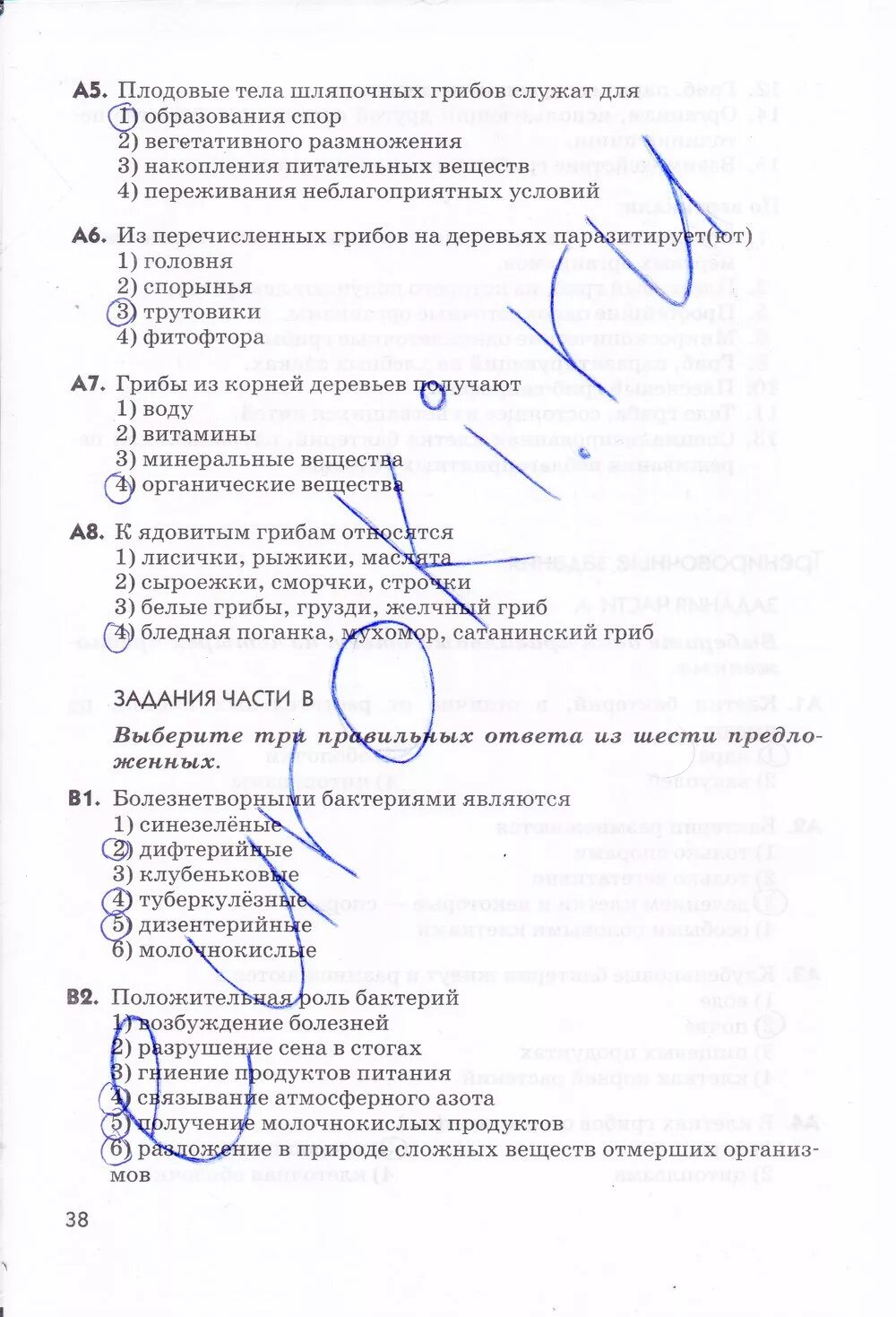 Пасечник рабочая тетрадь 5 класс Дрофа. Биология тетрадь 5 класс тетрадь Пасечник.