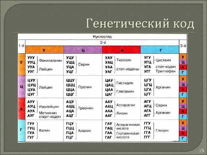 Кодоны т рнк. Кодоны информационной РНК таблица. Генетический код таблица биология 10 класс. Генетический код (кодоны), Биосинтез белка.. Антикодон в таблице генетического кода.