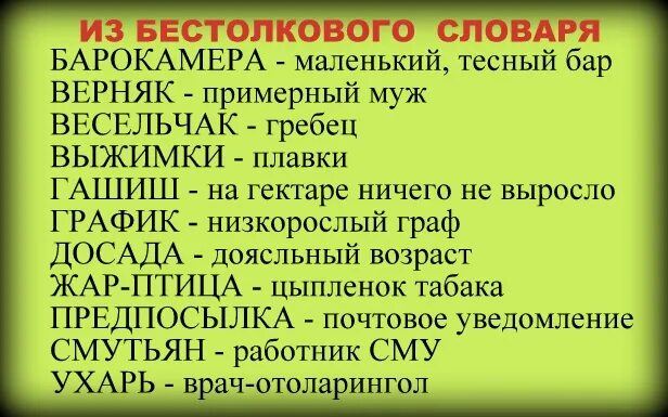 Бестолковый словарь. Бестолковый словарь словарь. Бестолковый словарь русского языка. Самый бестолковый словарь. Бестолковый почему