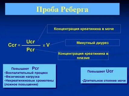 Клиренс креатинина проба реберга