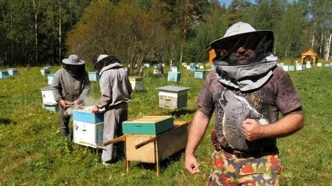 Каналы башкирии