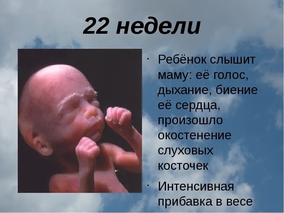 22 неделя б