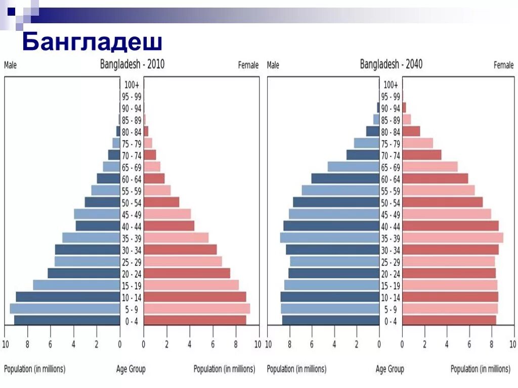 Структура населения алжира. Половозрастная пирамида бангладеш 2020. Численность населения алжира. Возрастной состав населения алжира. Половозрастная пирамида демография.