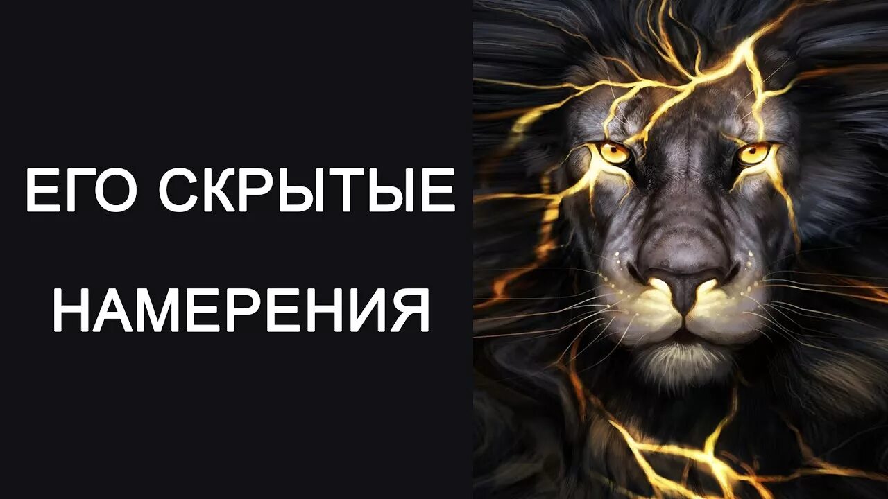 Скрытые намерения майк омер сокращение. Майк омер скрытые намерения книга. Скрытые намерения о чем книга. Майк омер скрытые намерения книга. Майк омер скрытые намерения книга.