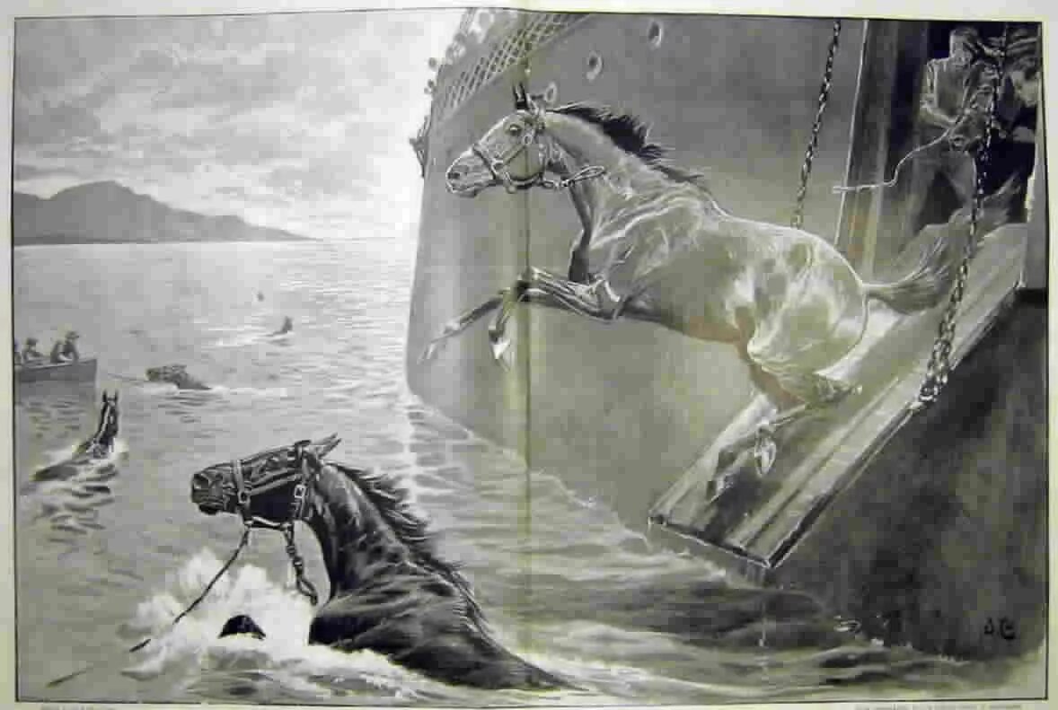 Б А Слуцкий лошади в океане. Лошади в океане картина. Лошадь тонет. Лошади в океане иллюстрация.