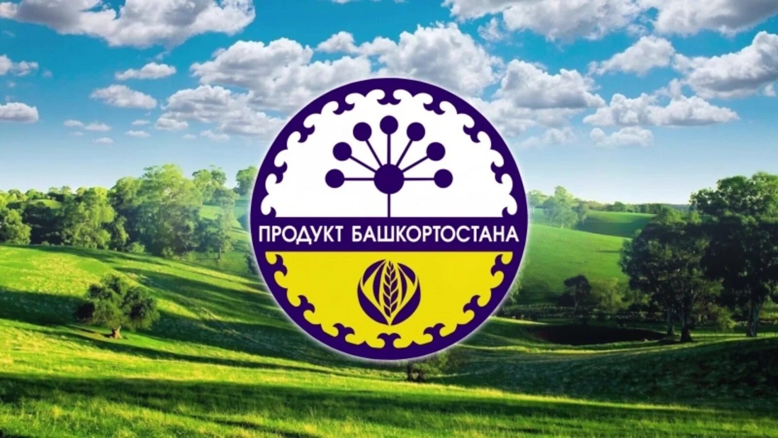 Башкирские продукты. Продукт башкортостана. знак продукт башкортостана. продукт башкортостана эмблема. башкирия продукты.