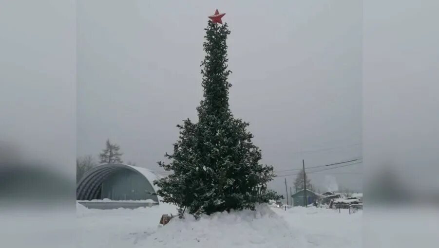 Елка пос. Елка в якутии. елка в виде члена. неприличная елка. елка на якутском.