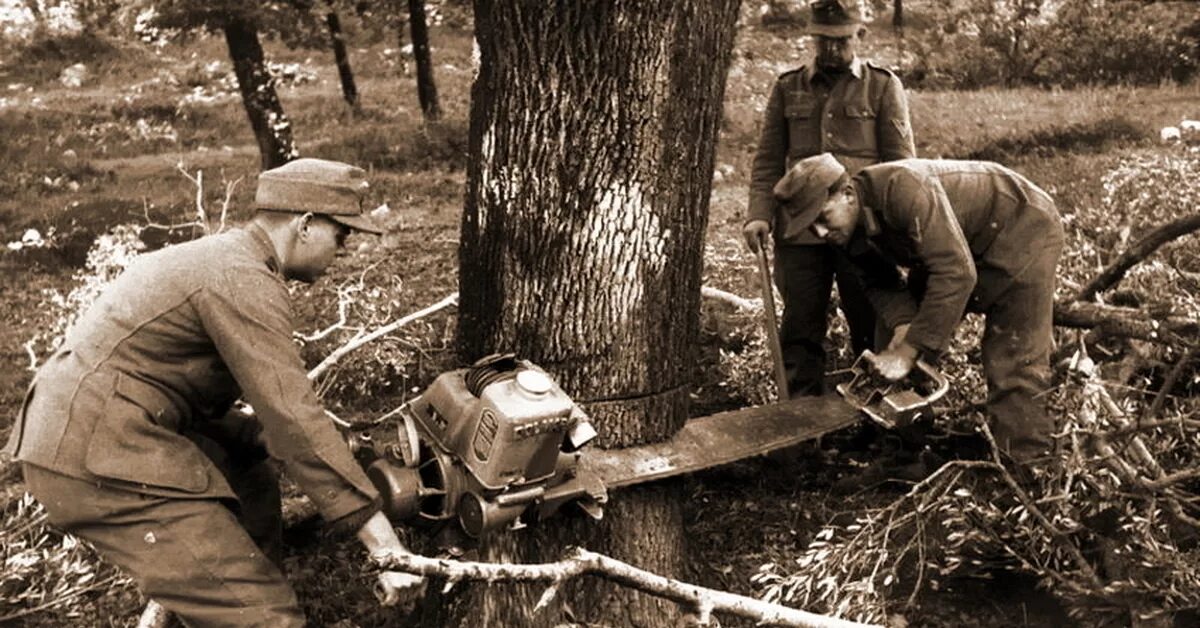 Бензопила история. Бензопила история. Бензопила штиль 1943 года. Бензопила штиль вермахта. Бензопила lombard cyclone.