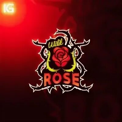 Standoff rose