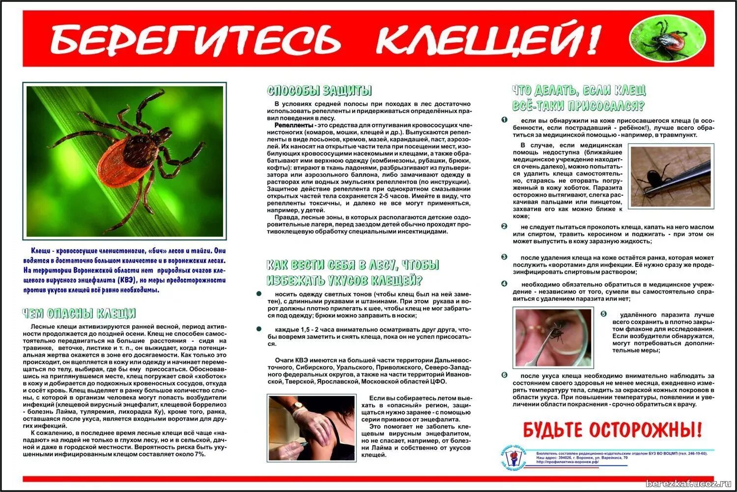 Информация о клещевом энцефалите