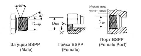 Bspp