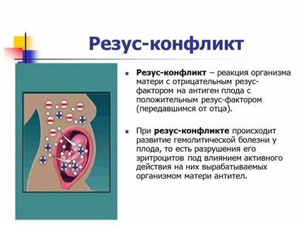 Резус конфликт при беременности и его последствия
