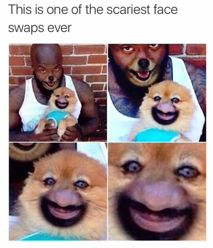 T me swaps up. Видео для face swap. Dog swap. Toxic swaps meme.