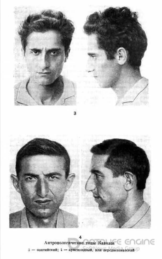 Балкано-кавказская раса. Каспийский тип. Туранский антропологический тип. Медитерранид фенотип. Кавказско балканская раса.
