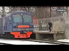 Электрички лось подлипки дачные сегодня