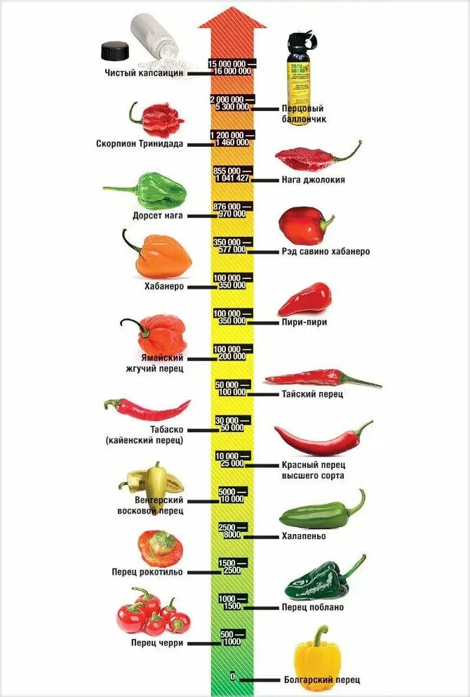 Перец Чили халапеньо острота по шкале Сковилла. Шкала остроты перца Сковилла. Таблица перцев по Сковиллу. Перец халапеньо шкала Сковилла.