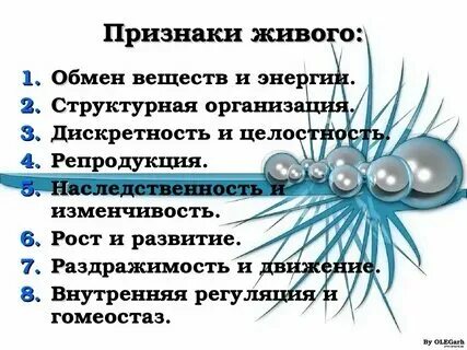 Основным признаком всех живых организмов