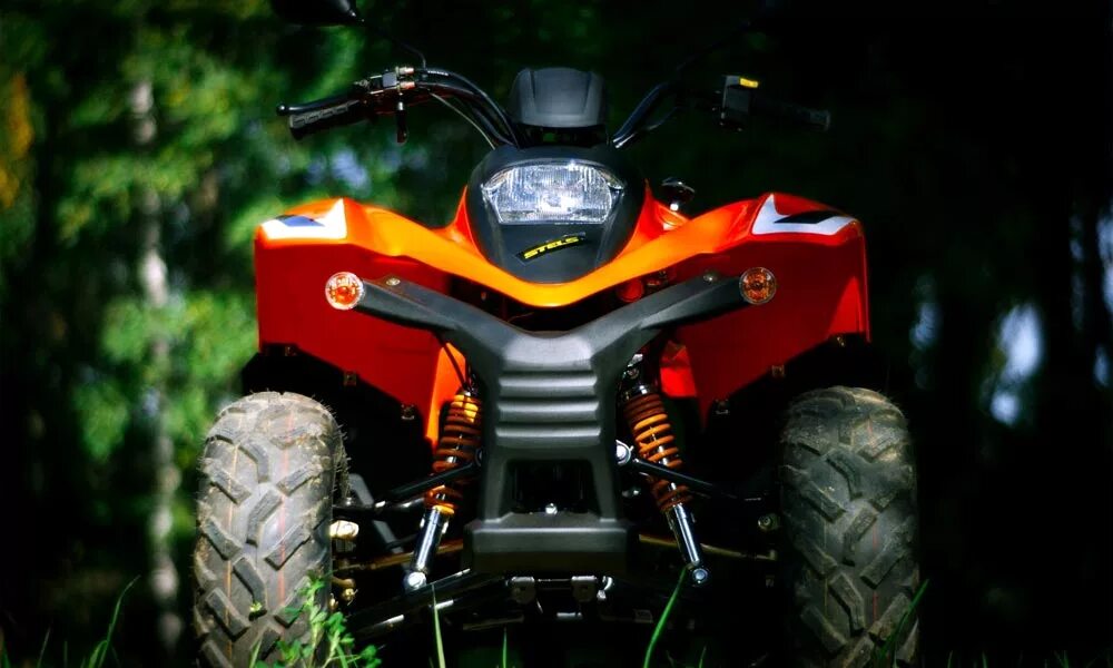 Квадрик 100. Stels atv 100rs. квадроцикл stels atv 100. стелс 100 rs. квадроцикл atv 100 rs.