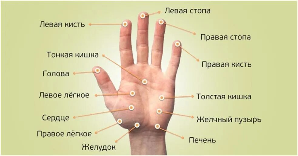 Больно нажимать на пальцы. Точки на ладони человека китайская медицина. Точки на руках. Лечебные точки на руках. Акупунктурные точки на ладони.
