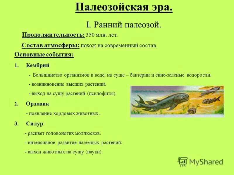 Какая эра палеозойская. Палеозойская Эра периоды и события. Длительность палеозойской эры. Основные события раннего палеозоя. Палеозойская Эра периоды таблица.