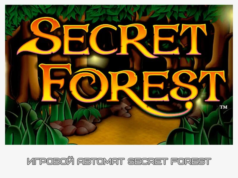 Игры тайны леса. Игровые автоматы Secret Forest. Форест секреты. Top Secret игровой автомат. Игровые автоматы грибы Форест.