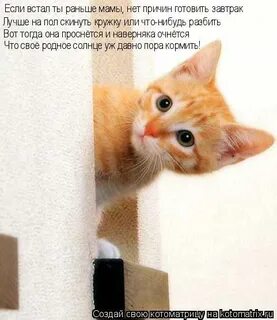 Скинь кружок