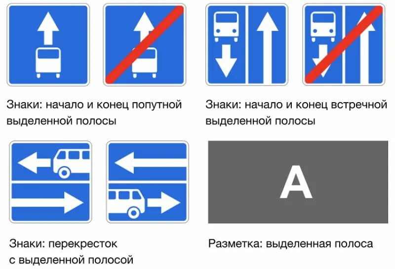 Знак полоса для автобусов. Разметка выделенной полосы для общественного транспорта. Выделенная полоса для автобусов знак. Дорожные знаки для выделенной полосе. Можно такси ездить по выделенной полосе