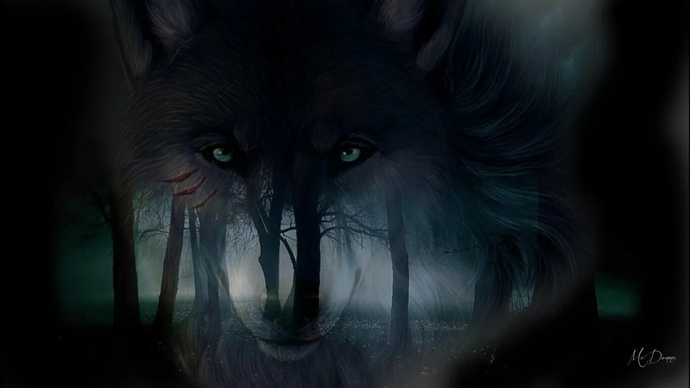 Глаза волка ночью. Глаза волка в темноте. Глаз волка. Мистические волки. Мрачный волк.