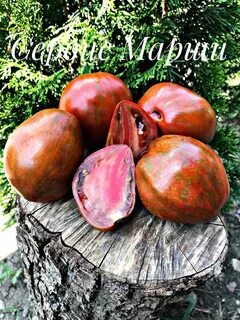 Томат марши