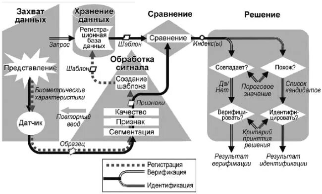 Захват информации. Биометрическая система структурная схема. Компоненты биометрической системы. Биометрия схема. Блок-схема биометрической системы.