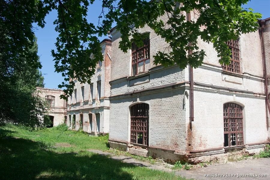 Орловка Воронежская область психиатрическая больница. Орловка психоневрологический диспансер. Психиатрическая больница Орловка Воронежская область корпус 2. Павлово психиатрическая больница