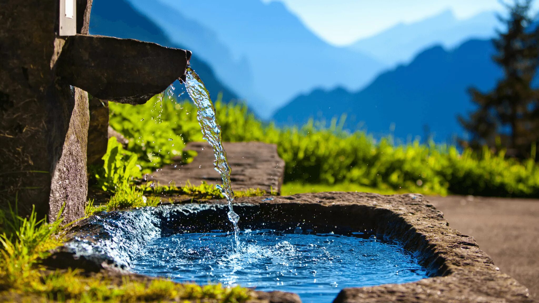 Aspects of water pollution
