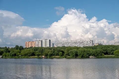 Погода в братеево
